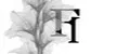 Fi