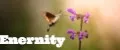 Eternity