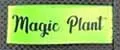 Magic Plant