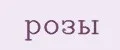 розы