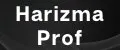 Аналитика бренда HarizmaProf на Wildberries