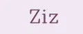 ZiZ