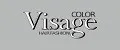 VISAGE Color Hair Fashion