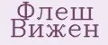 Флеш Вижен