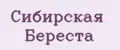 Сибирская Береста