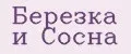 Березка и Сосна