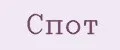 Спот