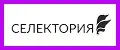 Селектория
