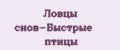 Ловцы снов-Быстрые птицы