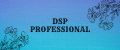 DSP professional