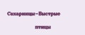 Сахарницы-Быстрые птицы