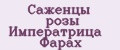 Саженцы розы Императрица Фарах