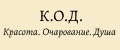 Аналитика бренда К.О.Д на Wildberries