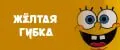 Желтая Губка