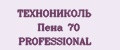 ТЕХНОНИКОЛЬ Пена 70 PROFESSIONAL