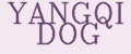 YANGQI DOG