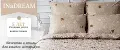 INaDREAM