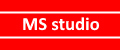 MSstudio