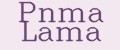 Pnma Lama