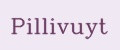 Pillivuyt