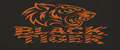 BLACK TIGER AUDIO