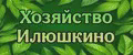 Хозяйство Илюшкино