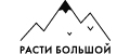 Аналитика бренда РАСТИ БОЛЬШОЙ на Wildberries