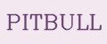 PitBULL