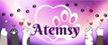 Atemsy
