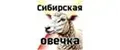Сибирская Овечка