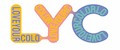 Аналитика бренда LYC на Wildberries