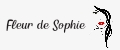 Fleur de Sophie