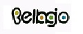Аналитика бренда Bellagio на Wildberries