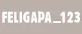 FELIGAPA_123
