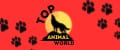 Top Animal World