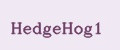 HedgeHog1