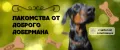 Лакомства от Доброго Добермана