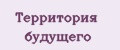 Аналитика бренда Территория будущего на Wildberries