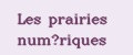 Les prairies numeriques