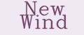 Аналитика бренда New Wind на Wildberries