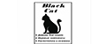 Аналитика бренда BLACKCAT на Wildberries