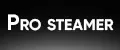 Pro steamer