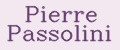 Аналитика бренда Pierre Passolini на Wildberries