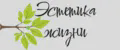 Эстетика Жизни