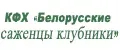 КФХ "Белорусские саженцы клубники"