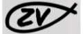 Z.V.