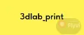 3dlab_print