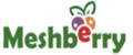 Meshberry