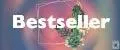 Bestseller