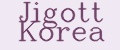 JIGOTT Korea